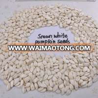 Wholesale pumpkin seeds from origin place