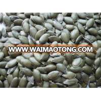 2016 crop top wolesale china GWS pumpkin seeds kernels