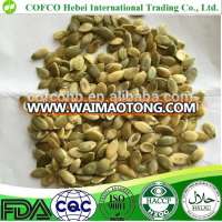 AA grade pumpkin seeds for bakery