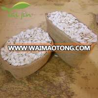 Grade AA quality shine skin pumpkin seeds