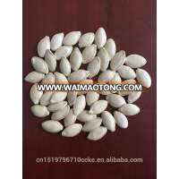 low price Heilongjiang origin shine skin pumpkin seeds 9cm