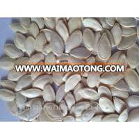 wholesale Chinese certified shine skin pumpkin seeds with reasonable price