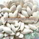 Top Quality Snow White Pumpkin Seeds in shell dried from China