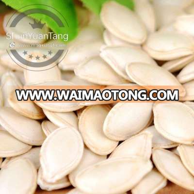 China shine skin pumpkin seeds for sale