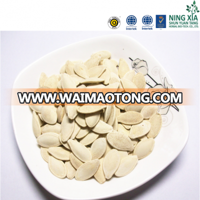 China pumpkin seeds - shine skin 9cm