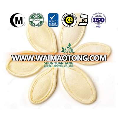 Chinese dried pumpkin seeds in shell Snow white big size