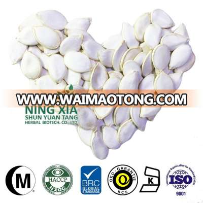 type chinese pumpkin seeds in shell snow white shine skin wholesale`