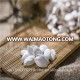 wholesale snow white pumpkin seeds 11cm