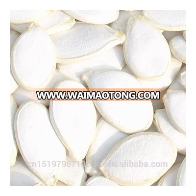 Chinese factory supply pumpkin seeds