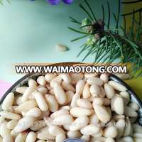 top grade red pine nut kernels