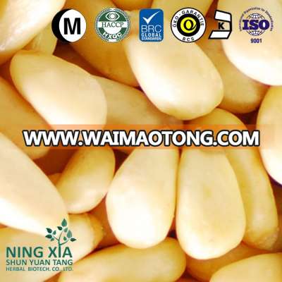 China factory wholesale shelled pine nut