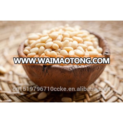 All Kinds Raw Processing Type Pine Nut Kernels