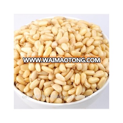 dry fruit pine nut kernels pure red 650