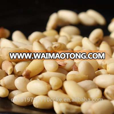 Raw Processing Type and Conventional Cultivation Type Pine nut700