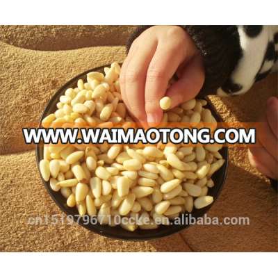 raw pure red pine nuts 750