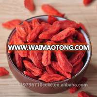 Qinghai dried goji berry