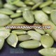 chinese dried shelled organic pumpkin seed kernels