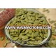 Chinese factory supply pumpkin seeds/kernels