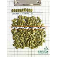 china organic shelled pumpkin seed kernels