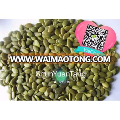 China Pumpkin Seeds Kernel - Shine Skin AA/A