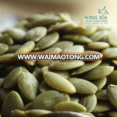 china factory green pumpkin seeds wholesale