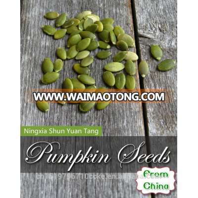 Chinese shelled pumpkin seeds