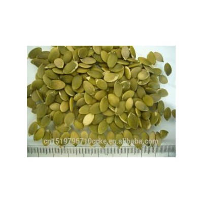 Chinese raw food ingredients pumpkin seed kernels