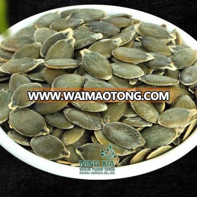 shelled green pumpkin seeds - chinese nuts & seeds fatory