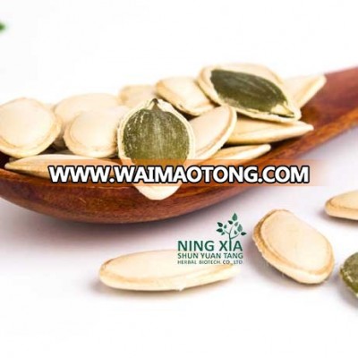 chinese factory sells all kinds of green pumpkin seeds