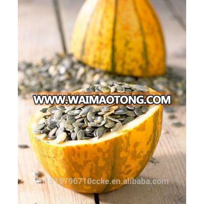 wholesale pumpkin seeds GWS