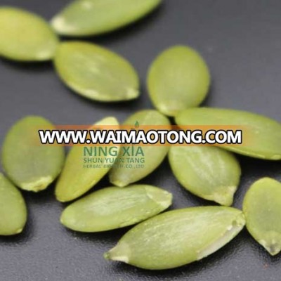 wholesale green pumpkin seeds shelled dried