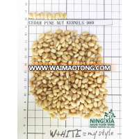 china northeast pine nut pure red & cedar nut