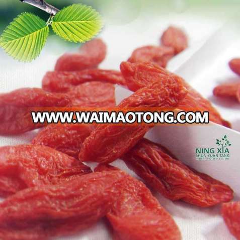 china goji supplier dried new crop goji berry