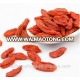 wholesale manufacturer certified goji berry