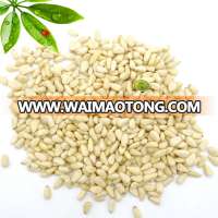 siberian pine nuts prices pine nuts for sale new crop pine nuts importer in china