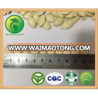 Import japanese pumpkin seed for sale