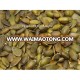 Wholesale organic pumpkin seed GWS for edible