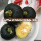 Hybrid f1 little green china planting pumpkin seeds best price for sale